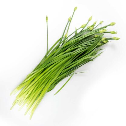 Chive flower