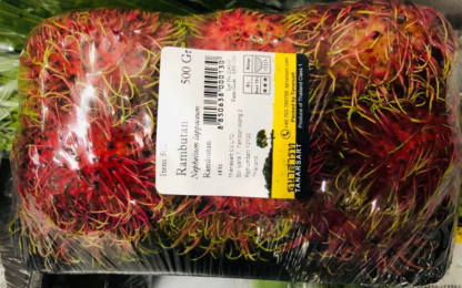 Rambutan 500g 红毛丹 500g