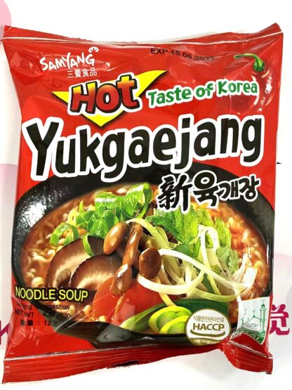 Samyang Yukgaejang ramen 120g