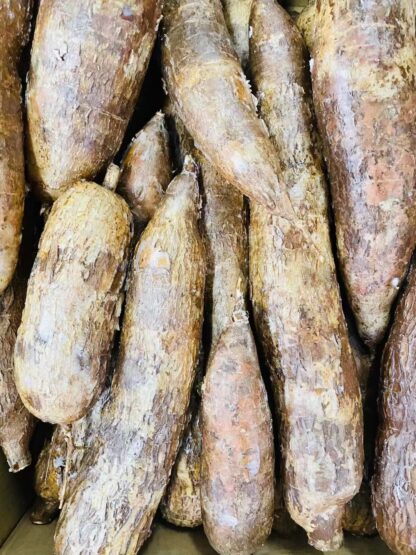 Cassava 木薯 ca 1kg