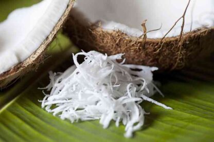 Frozen Coconut Meat Shredded 227g 冷冻椰丝 227g