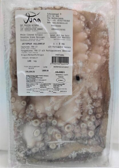 JONA Frozen Octopus 1-2kg