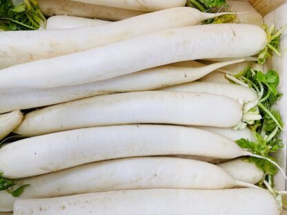 White radish 1kg 白萝卜 1kg