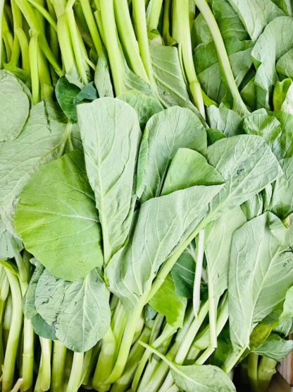 Choy Sum Flowering Cabbage 菜心 ca 500g