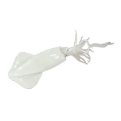 Frozen Squid Whole Cleaned 10/20 1000g 鱿鱼 10/20 1kg