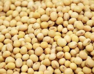 Soybeans 1kg 黄豆 1kg